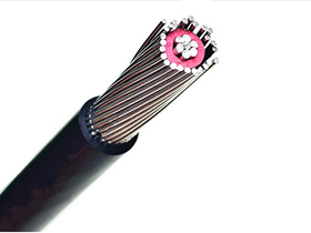 Concentric Service Cable