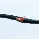   Understanding Power Cable Safety: The Dangers of a Frayed Service Power Cable 
