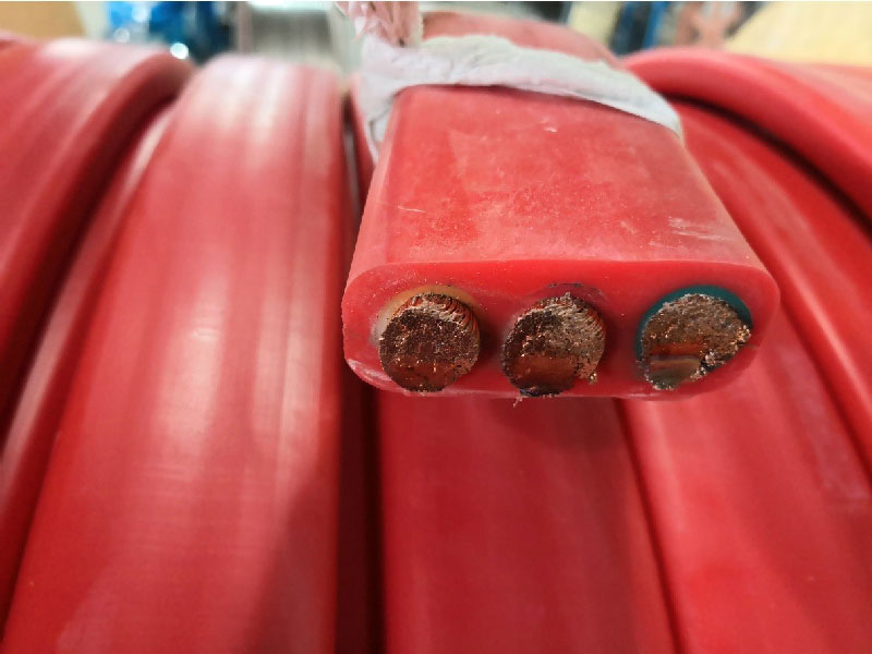 Silicone Rubber Insulated and Sheathed Flat Flexible Cables (YGGB Series)